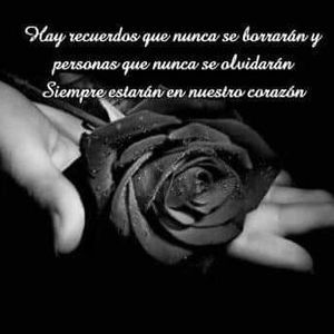 Meet your Posher, Eva